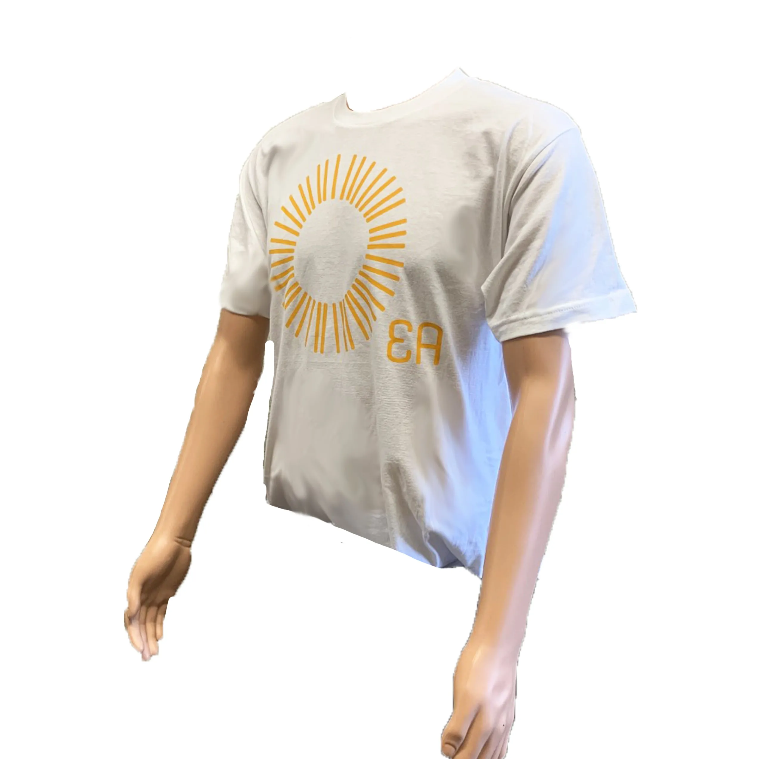 Education Alternatives Sun Tee