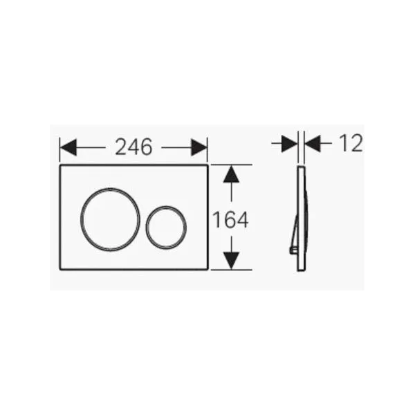 Geberit Sigma 20 Dual Flush Plate Stainless Steel/Chrome